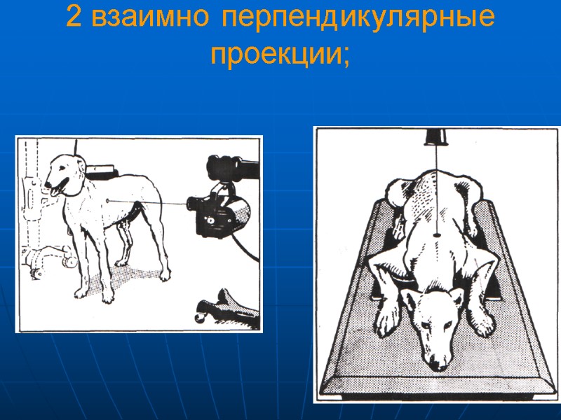 2 взаимно перпендикулярные проекции;